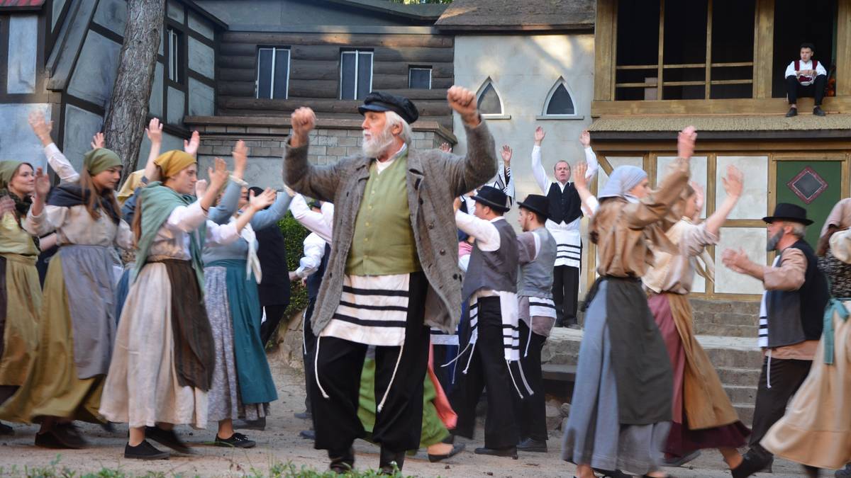 Die Waldbühne Ahmsen lockt jedes Jahr mit einem neuen Programm.
